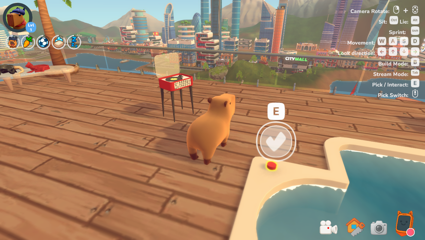 �����������